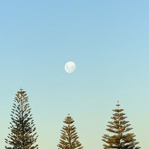 Meet your Posher, Lee